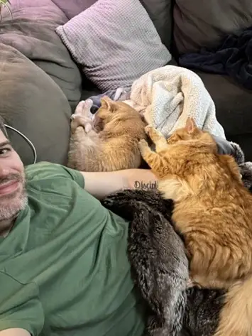 Fine! I’ll write a blog.